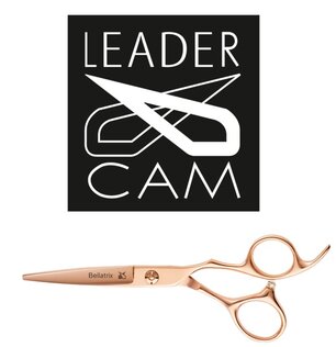 Leader Cam