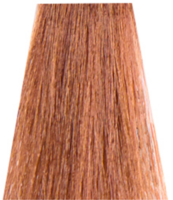 NEW Nouvelle EspressoTime 10min Hair Color 8.31 60ml