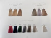 Previa Earth Colour 77 Nuances - 100ml