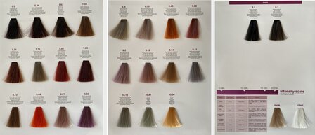 NOUVELLE COLOR CHART FLUID COLOR SHADES  3 luik