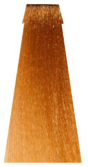 NOUVELLE FLUID COLOR SHADE 10.04 60ML Abrikoos 