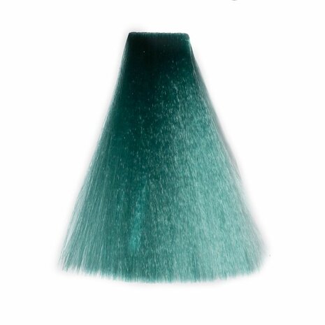 NEW Nouvelle Rev Up Hair Color Emerald Green Color Refereshing Mask