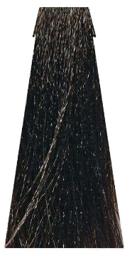 NOUVELLE FLUID COLOR SHADE 3.1 60ML donker as bruin