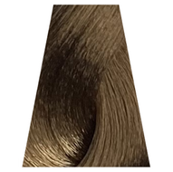 Toujours Trend Color  8.13 Light Ash Golden Blonde 100ml