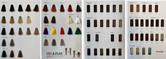 Nouvelle Lively color nr 6.3 100ml