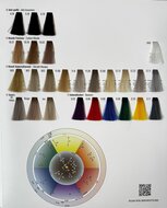Silky Color Chart 4 luik